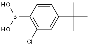 Boronic acid, B-[2-chloro-4-(1,1-dimethylethyl)phenyl]- Structural