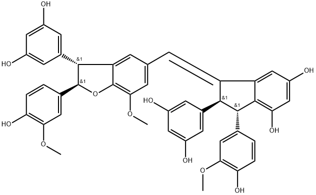 Gnetuhainin O Structural