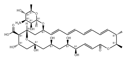 Tetrin B Structural