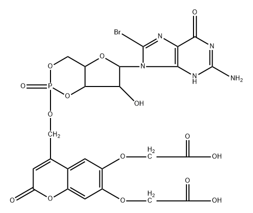BCMCM-caged 8-Br-cGMP Structural