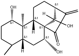 Kamebanin Structural