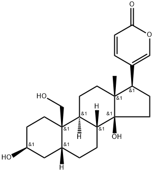 19-Hydroxybufalin Structural