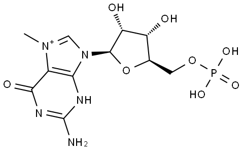 m(7)GMP Structural