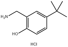 Phenol, 2-(aminomethyl)-4-(1,1-dimethylethyl)-, hydrochloride (1:1) Structural