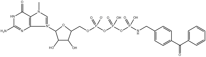 gamma-(4-(benzoylphenyl)methylamido)-7-methylguanosine-5'-triphosphate