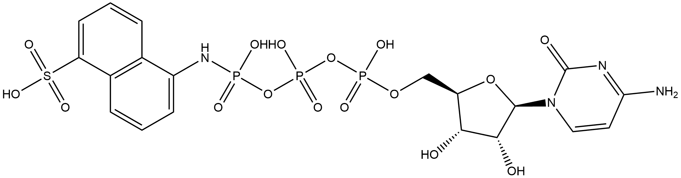 CTP-γ-AmNS Structural