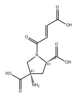 FP-0429 Structural