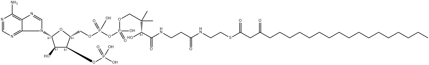 S- (3-oxoeicosanoate) -Coenzyme A Structural
