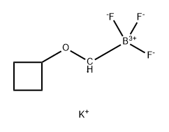 Potassium
cyclobutyloxymethyltrifluoroborate Structural