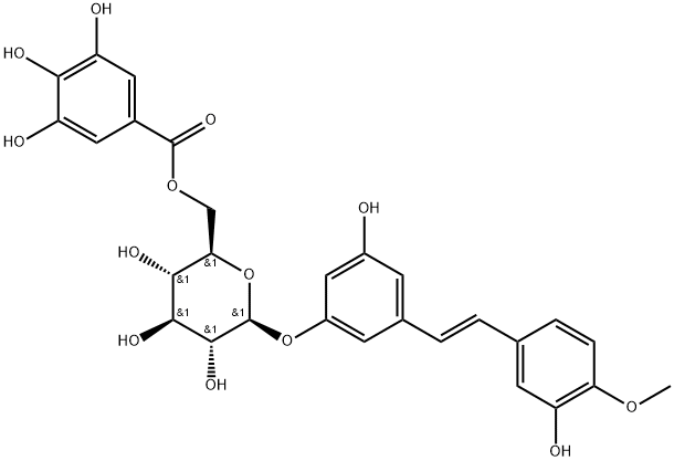 Rhaponticin 6''-O-gallate Structural