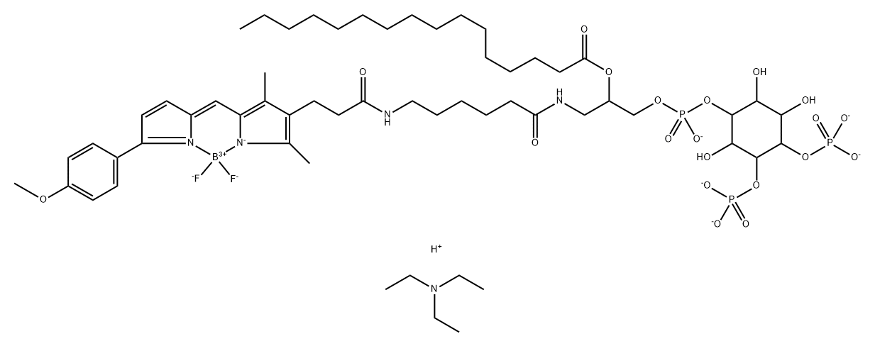 GloPIPs BODIPY TMR-PtdIns(4,5)P2-C16 Structural