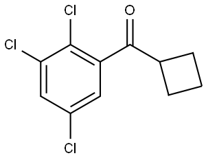 Cyclobutyl(2,3,5-trichlorophenyl)methanone Structural