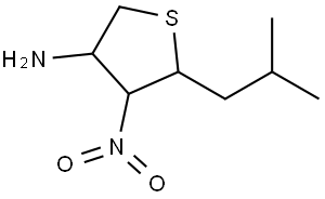 5-(2-Methylpropyl)-4-nitrothiolan-3-amine Structural