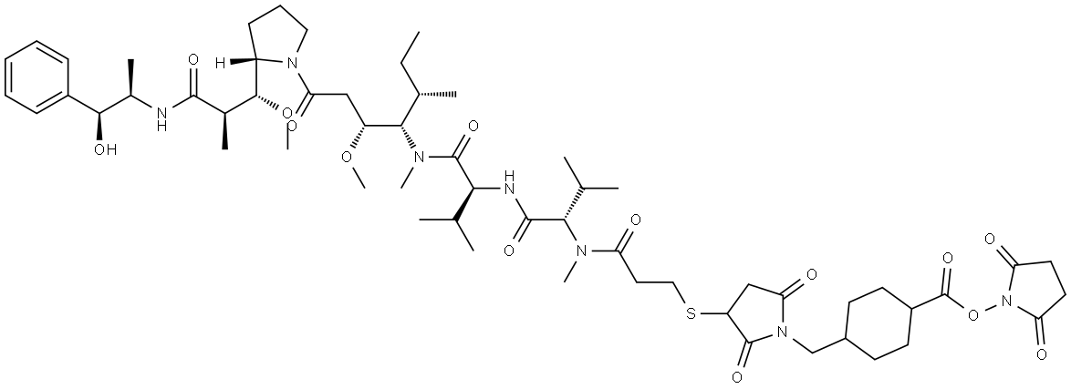 2021179-11-1 structural image