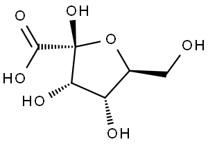 INDEX NAME NOT YET ASSIGNED Structural