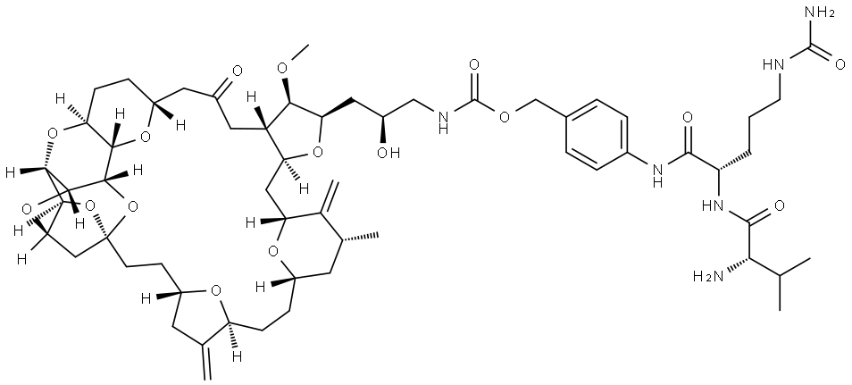 VCP-Eribulin Structural