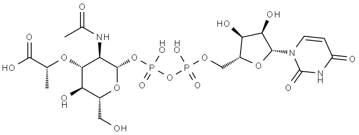 Uridine 5'-(trihydrogen diphosphate), P'-(N-acetyl-β-muramosyl) ester Structural