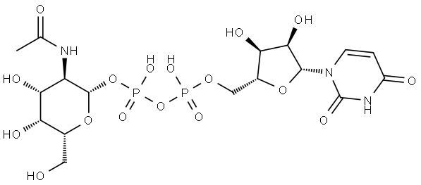 Uridine 5'-(trihydrogen diphosphate), P'-[2-(acetylamino)-2-deoxy-β-D-galactopyranosyl] ester Structural