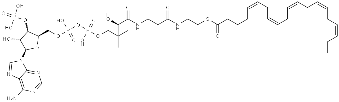 Coenzyme A, S-(5Z,8Z,11Z,14Z,17Z)-5,8,11,14,17-eicosapentaenoate Structural