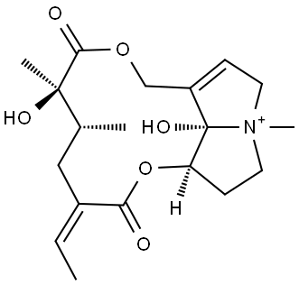 RENARDINE Structural