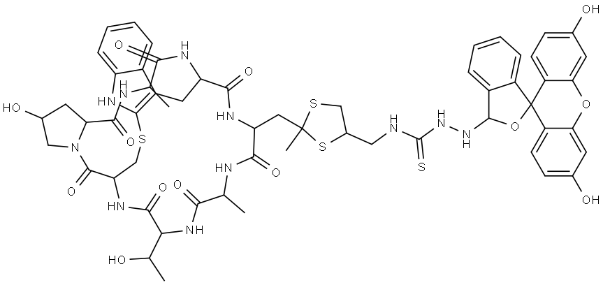 FLUORESCEIN PHALLOIDIN Structural