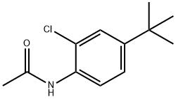 N-(4-TERT-BUTYL-2-CHLOROPHENYL)ACETAMIDE Structural