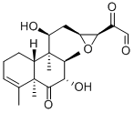terpentecin Structural