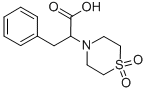 2-(1,1-DIOXO-1LAMBDA6,4-THIAZINAN-4-YL)-3-PHENYLPROPANOIC ACID