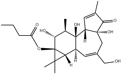 PHORBOL 13-BUTYRATE, 4BETA Structural