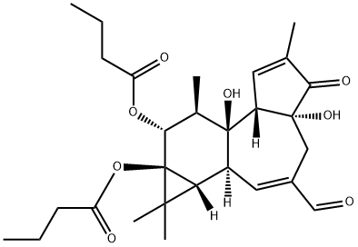 20-OXO-20-DEOXYPHORBOL 12,13-DIBUTYRATE