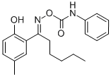 101002-13-5 structural image