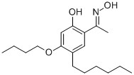 SALOR-INT L497509-1EA