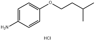 CP-24879 HYDROCHLORIDE