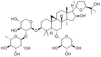 ASTRASIEVERSIANIN 15(RG)