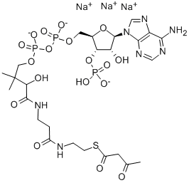 ACETOACETYL COENZYME A SODIUM SALT