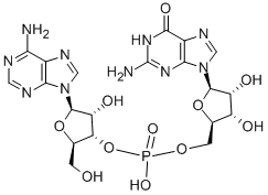 ADENYLYL-(3'-5')-GUANOSINE