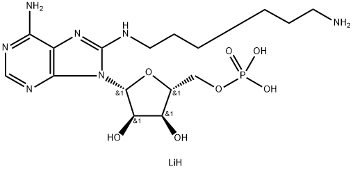 8-(6-AMINOHEXYL)AMINOADENOSINE-5'-MONOPH OSPHATE LI,8-(6-aminohexyl)aminoadenosine 5'-monophosphate, lithium