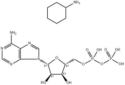 ADENOSINE 5'-DIPHOSPHATE DI(MONOCYCLOHEXYLAMMONIUM) SALT