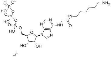 N6-([6-AMINOHEXYL]CARBAMOYL-METHYL)ADENOSINE 5'-TRIPHOSPHATE LITHIUM SALT