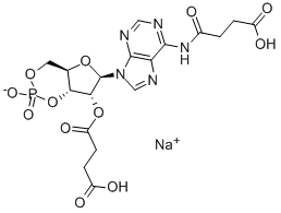 N6,2'-O-DISUCCINYLADENOSINE 3':5'-CYCLIC MONOPHOSPHATE SODIUM SALT