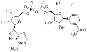 β-Nicotinamide adenine dinucleotide reduced dipotassium  Structural