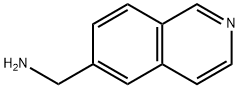 (Isoquinolin-6-yl)methanamine Structural