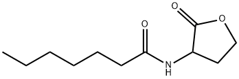 N-HEPTANOYL-DL-HOMOSERINE LACTONE Structural