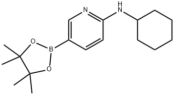 6-(CYCLOHEXYLAMINO)PYRIDINE-3-BORONIC ACID PINACOL ESTER