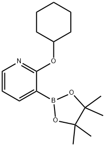 2-(CYCLOHEXYLOXY)PYRIDINE-3-BORONIC ACID PINACOL ESTER Structural