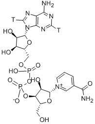 NICOTINAMIDE ADENINE DINUCLEOTIDE, [ADENINE-2,8-3H]