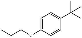 1-TERT-BUTYL-4-PROPOXYBENZENE