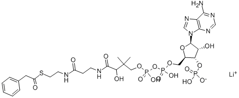 PHENYLACETYL COENZYME A LITHIUM SALT