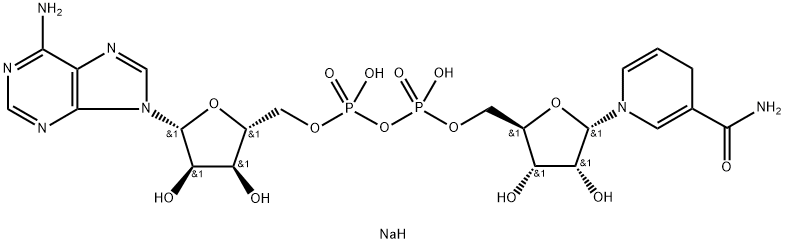 α-Nicotinamide adenine dinucleotide Structural