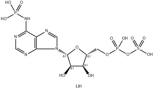 ADENOSINE 3'-PHOSPHATE 5'-PHOSPHOSULFATE  LITHIUM Structural